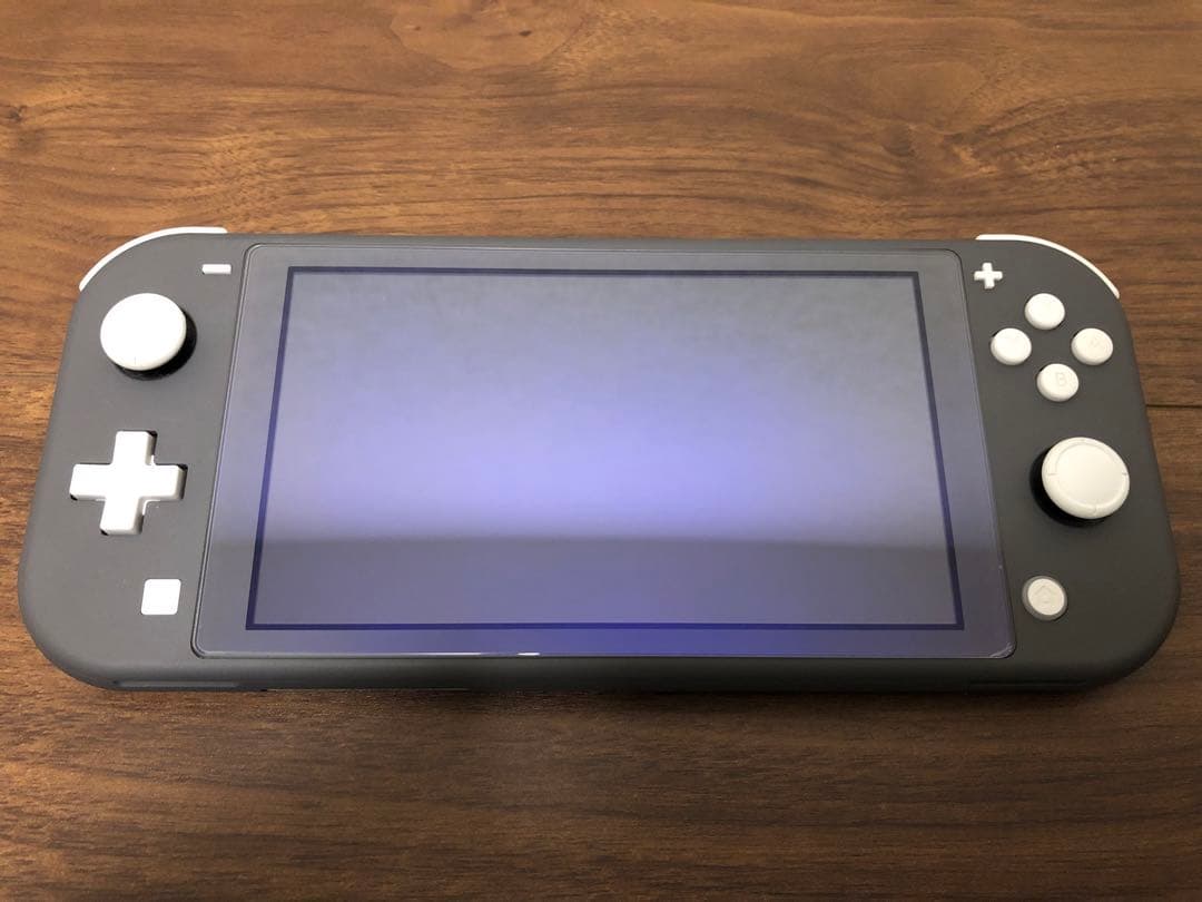 【美品】2024年式Nintendo Switch Lite&あつ森+ペンケース