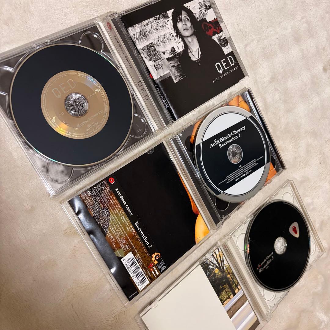 Acid Black Cherry Janne Da Arc豪華44点セット美品