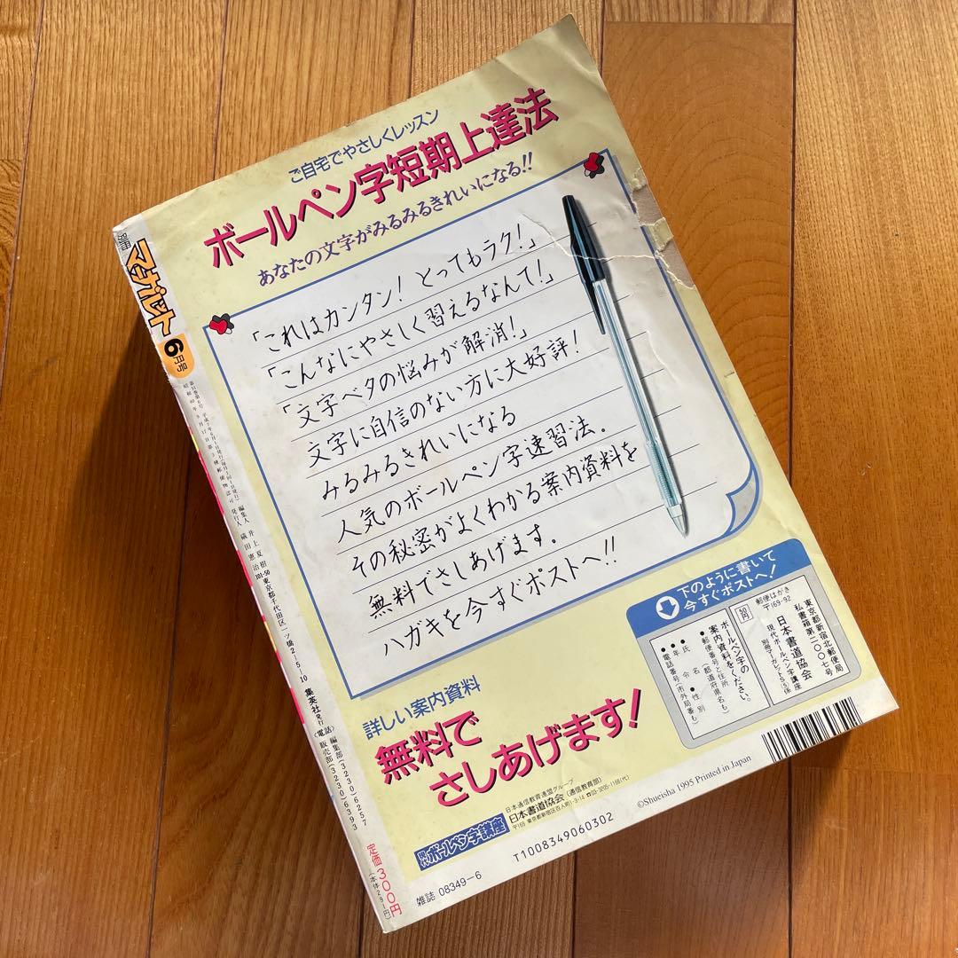 別冊マーガレット♡1995年6月号