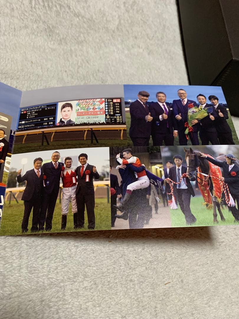 ジャパンカップ　スワーヴリチャード　2019年　優勝記念品　非売品　関係者限定品