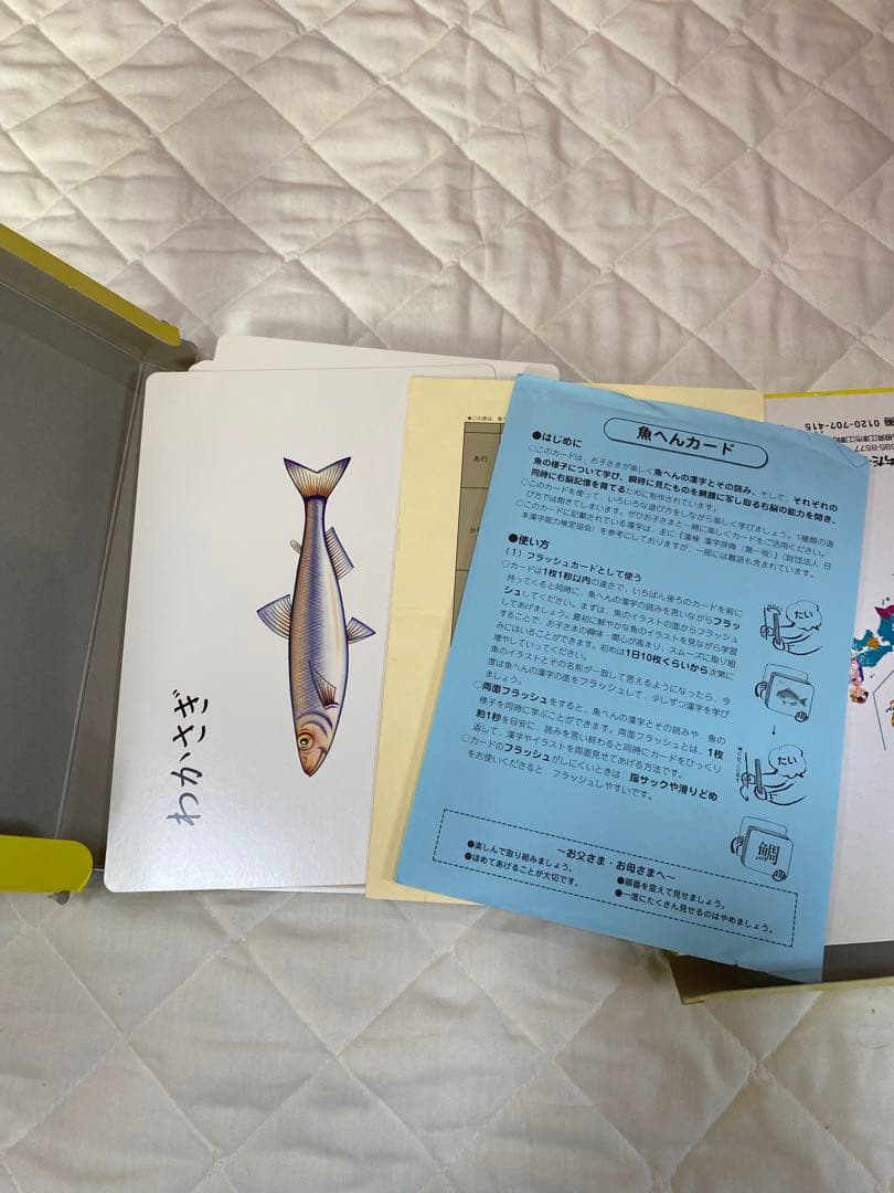 七田式　フラッシュカード　味覚編　国旗　魚へん　日本地理