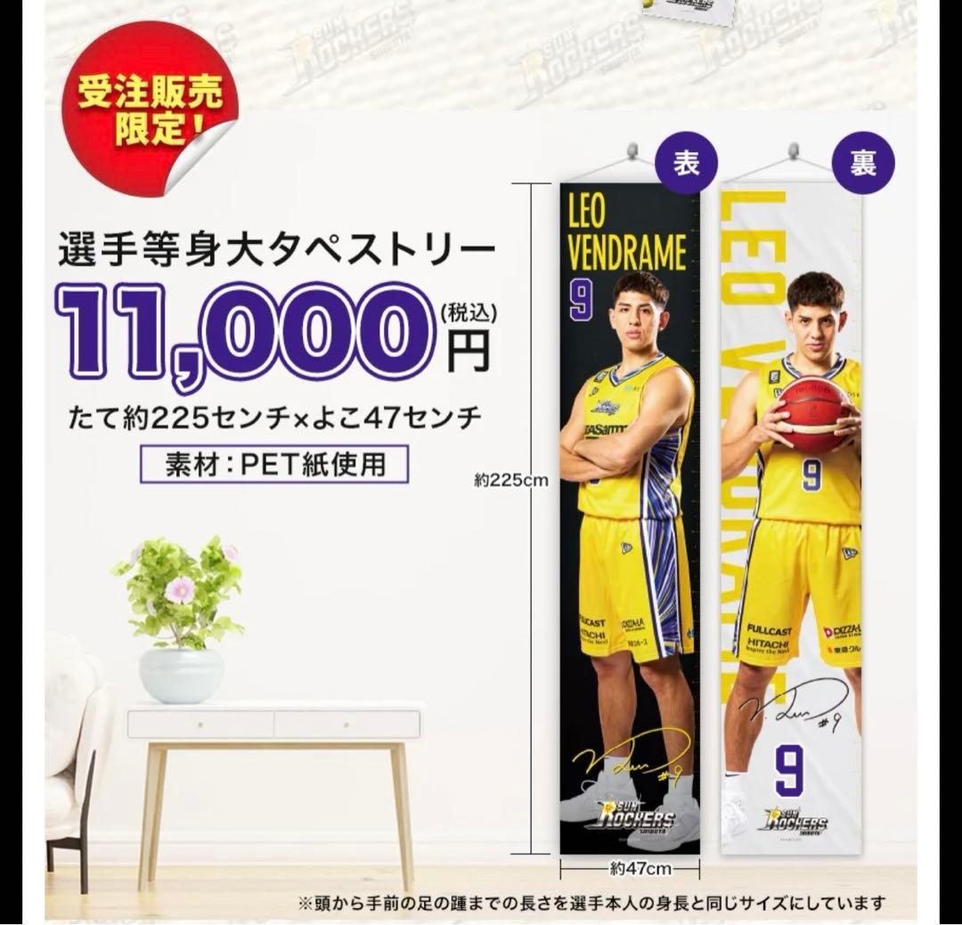 ジョシュ・ホーキンソン 等身大タペストリー ④