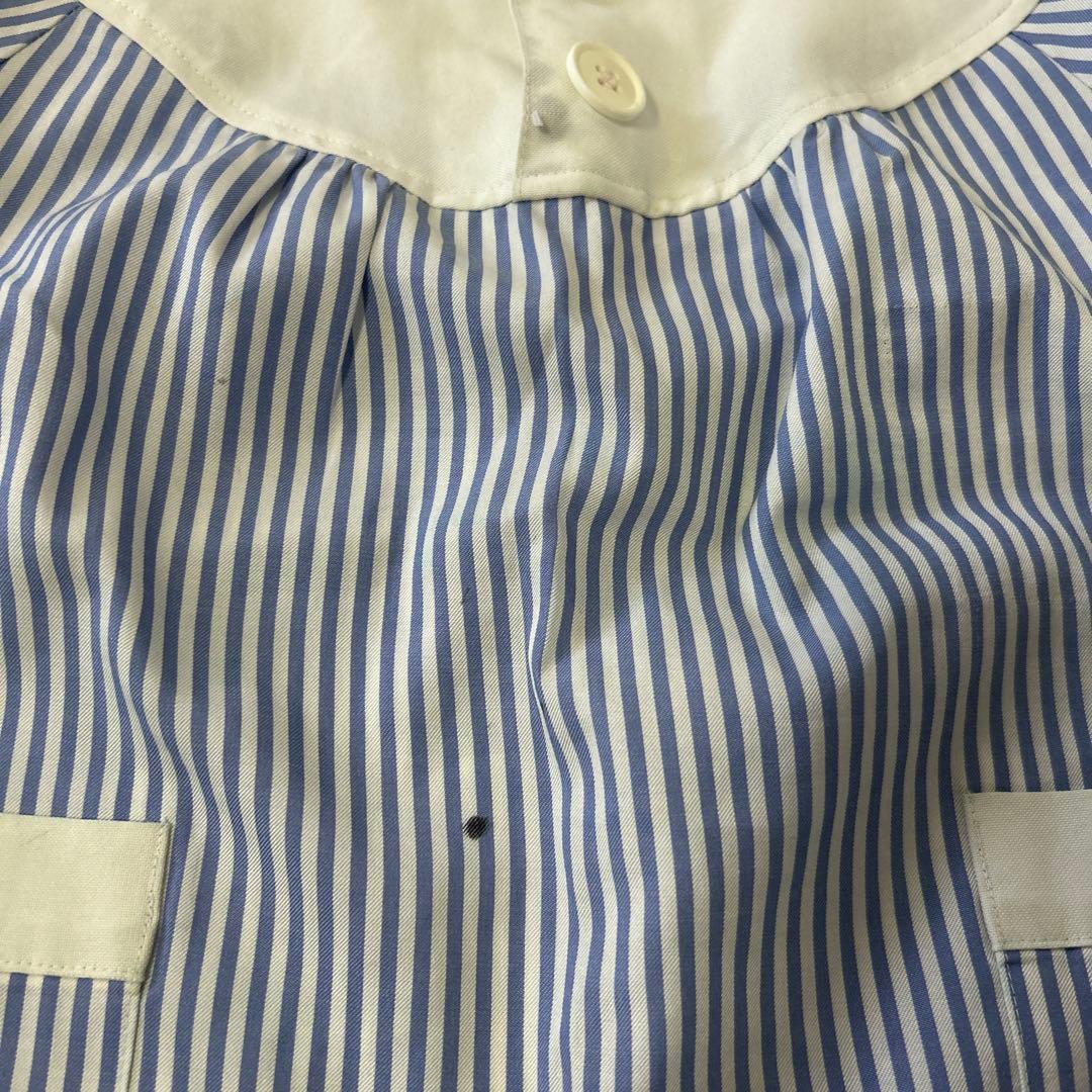 mr　ロベルタ 白ゆり幼稚園