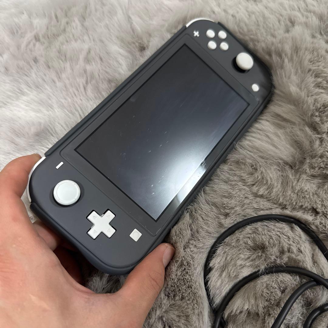Nintendo Switch Lite グレー 本体 充電器・ケース付き