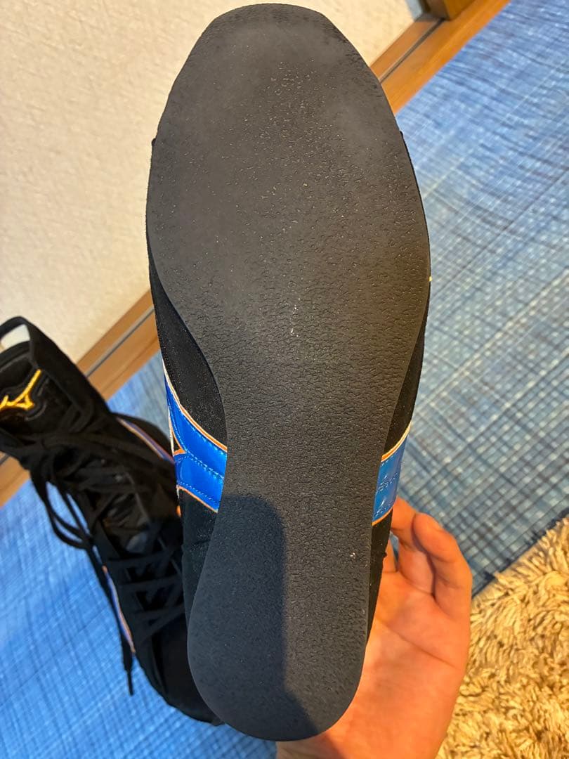 MIZUNO リングシューズ　ボクシング　美品