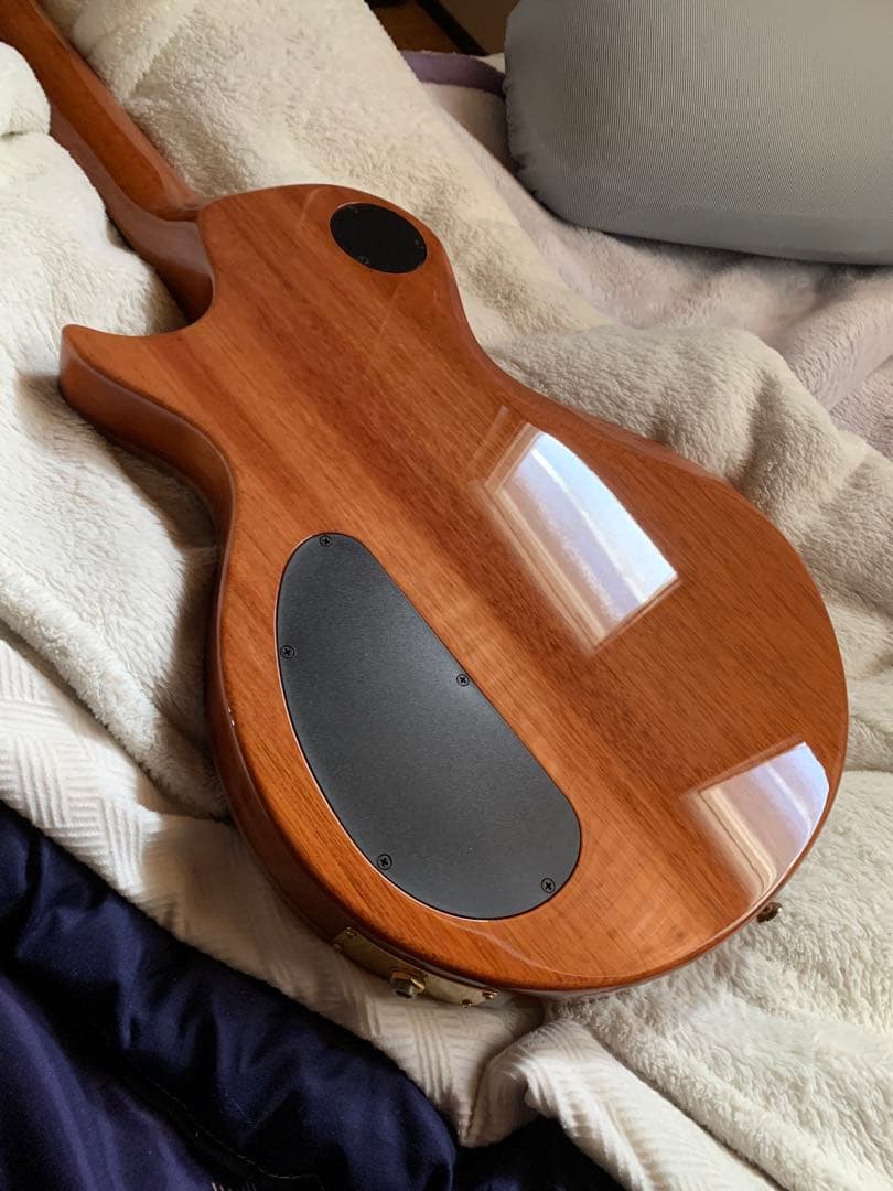 carvin CS6 ジョーウォルシュ　モデル