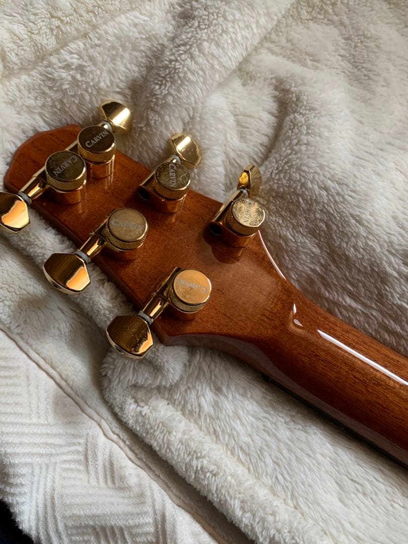 carvin CS6 ジョーウォルシュ　モデル