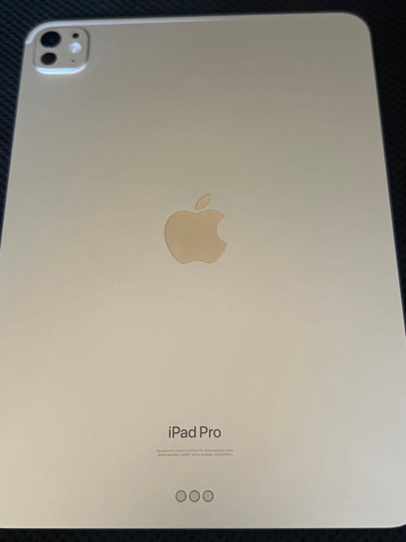Apple iPad Pro m4本体