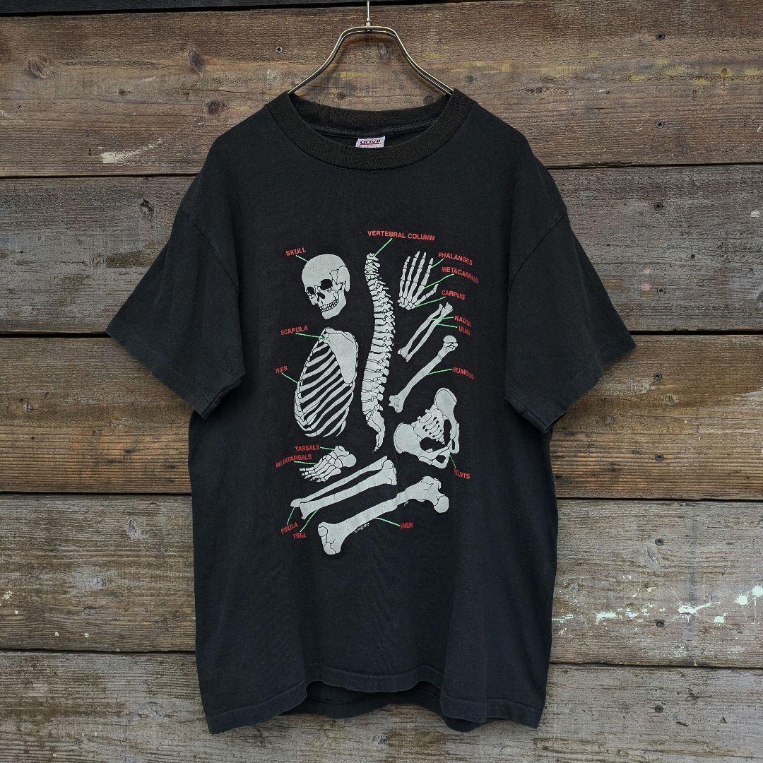 90s　USA製　Tシャツ　人骨　骨格標本　アートプリント　シングルステッチ　L