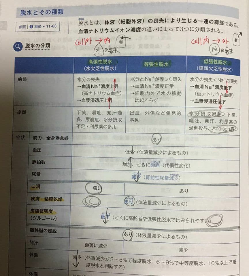 歯科医師国家試験 NewText 2020 麻布