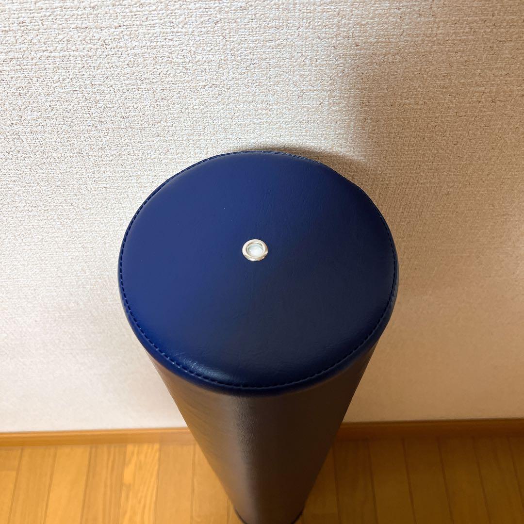 美品　正規品　ストレッチポール StretchPole EX LPN