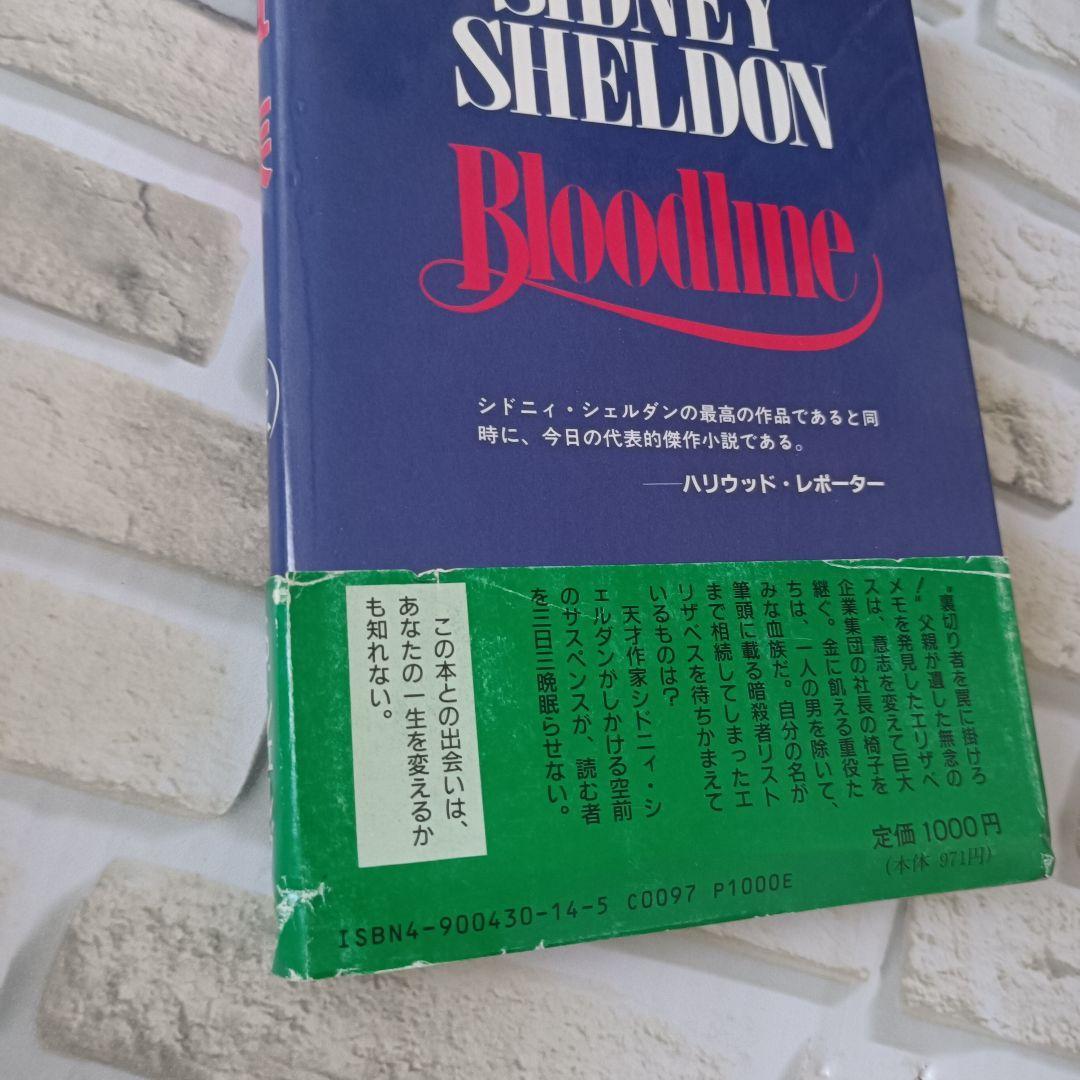 シドニィ・シェルダン　SIDNEY SHELDON 30冊まとめ売り　超訳