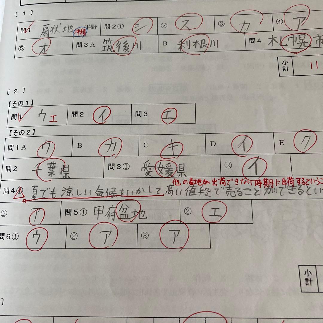 早稲田アカデミーNN早稲田　夏期集中特訓教材2024