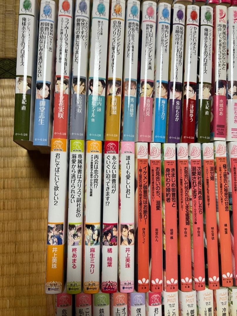 小説　まとめ　恋愛　ラブロマンス　文庫　約200冊　エタニティ　オパール　など