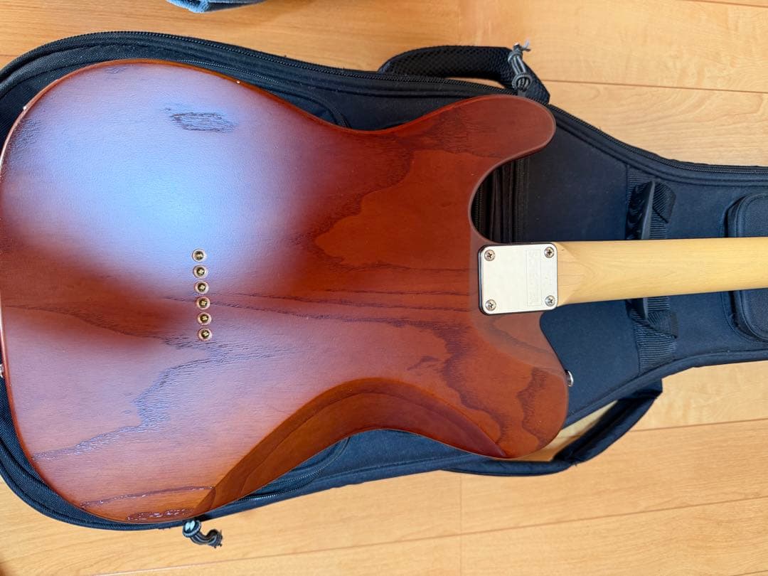 ざ*ー様 SCHECTER PROGAUGE PS-S-PT ロック式ペッグ交換