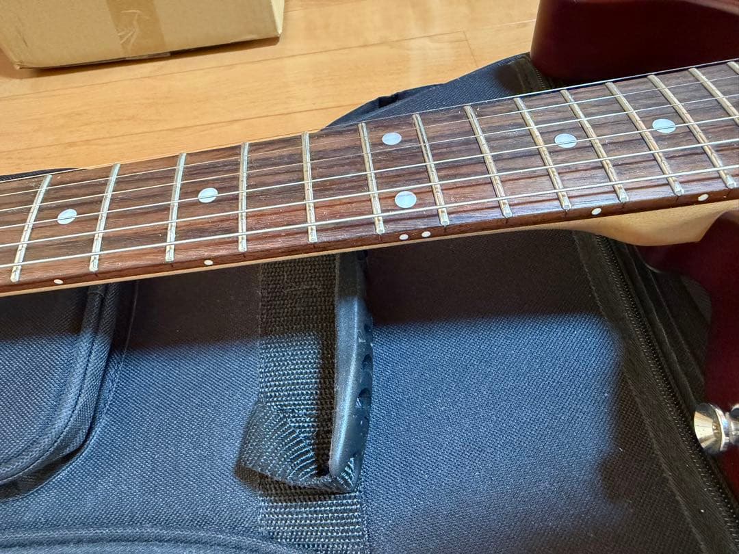 ざ*ー様 SCHECTER PROGAUGE PS-S-PT ロック式ペッグ交換