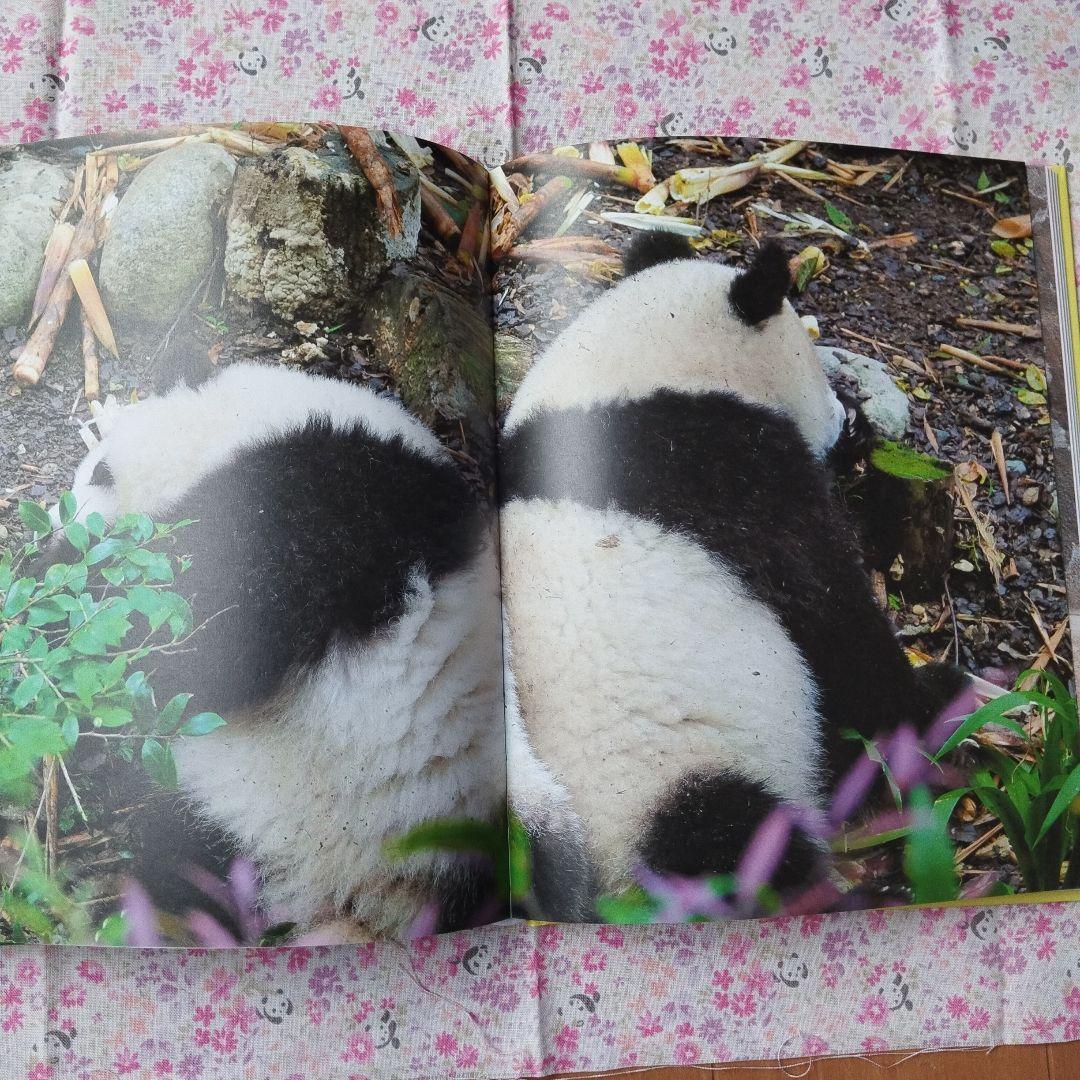 【レア品！新品•未使用品】和花ちゃん生誕5周年記念写真集「花花世界」