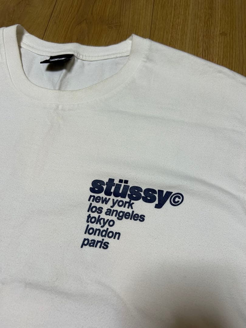 マ*モ様 stüssy いちごグラフィック TシャツL