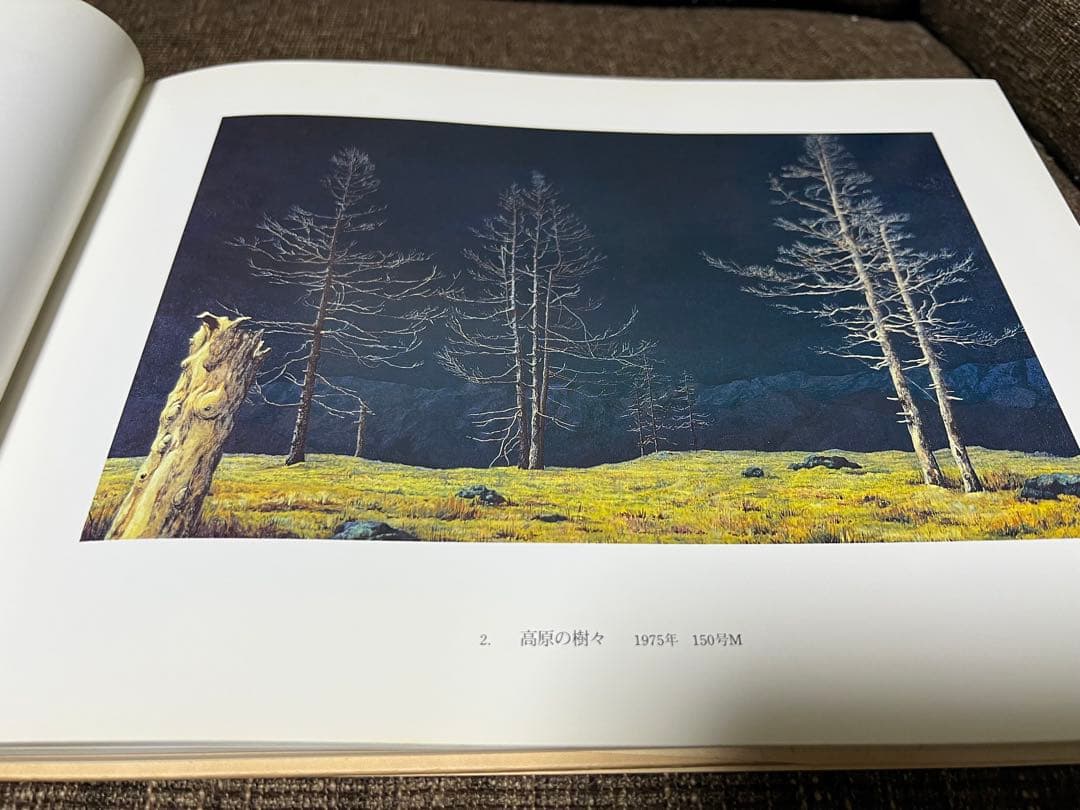 【初版】溝口七生画集―１９６５～１９９８