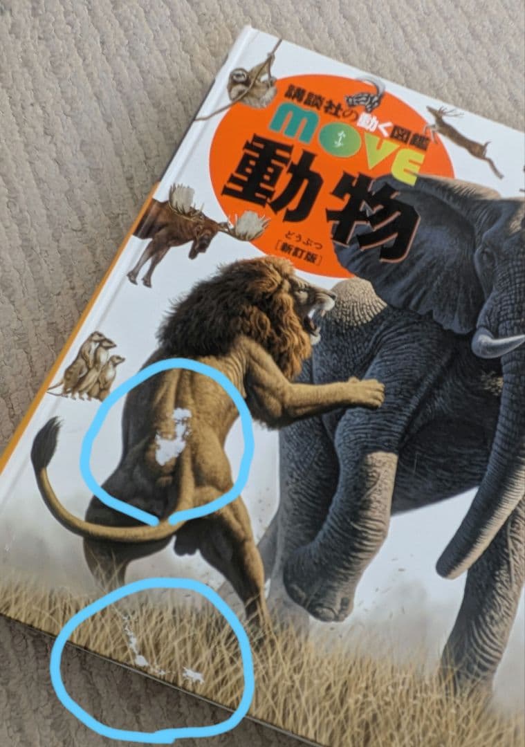 講談社の動く図鑑　MOVE　11冊セットDVD付き