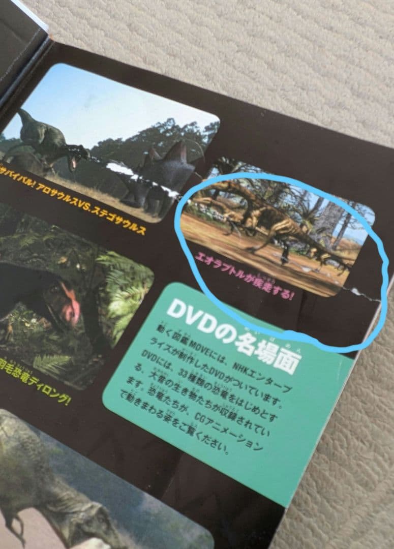 講談社の動く図鑑　MOVE　11冊セットDVD付き