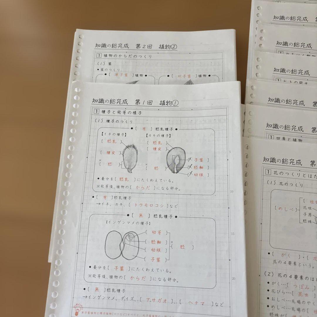 プ*a様 知識の総完成　理科　SAPIX 欠番なし　フルセット