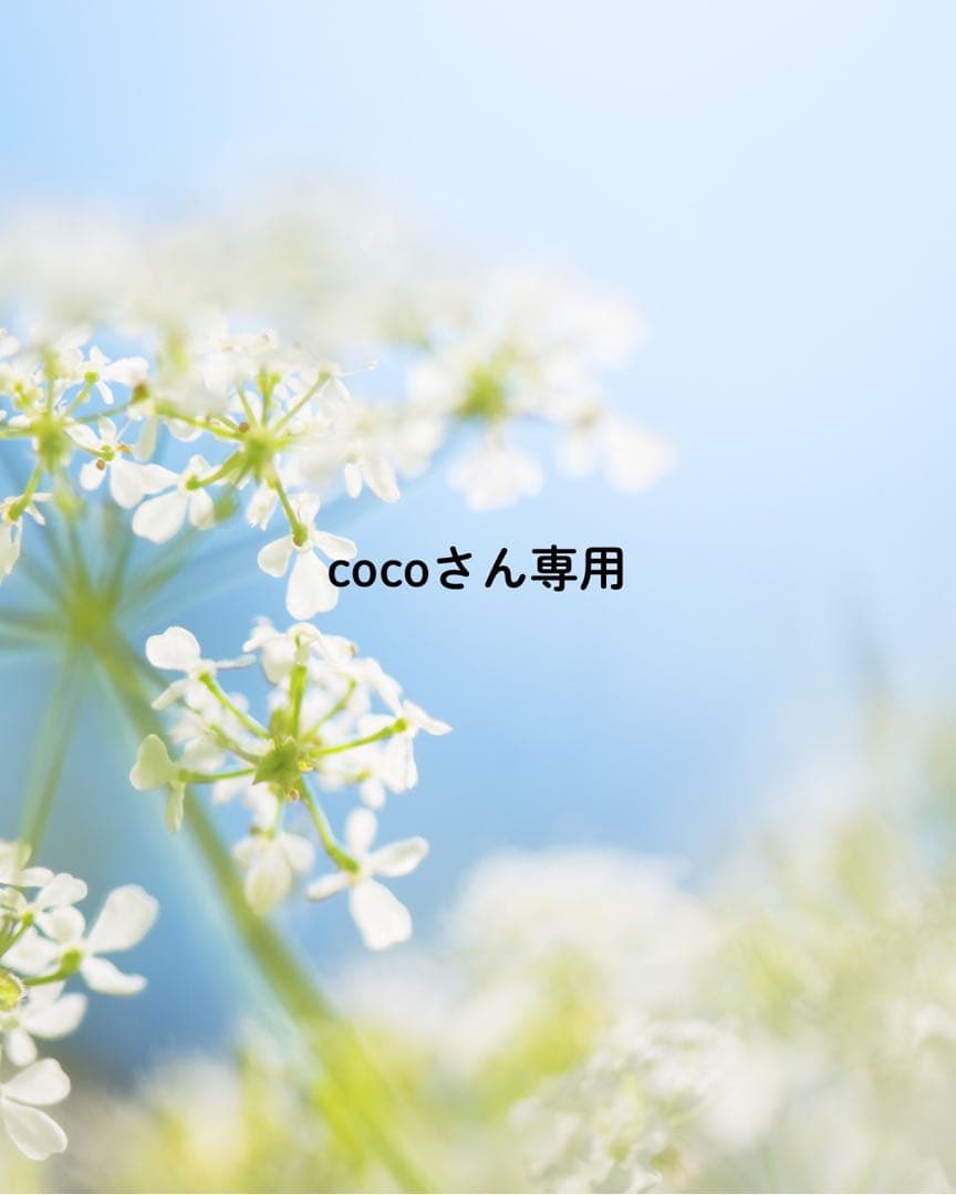 cocoさん専用