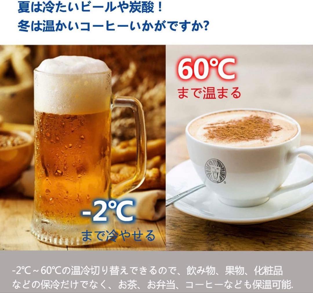 ポータブル保温冷庫 冷温庫 10L -2℃60℃ 家庭車載両用 車載冷蔵庫