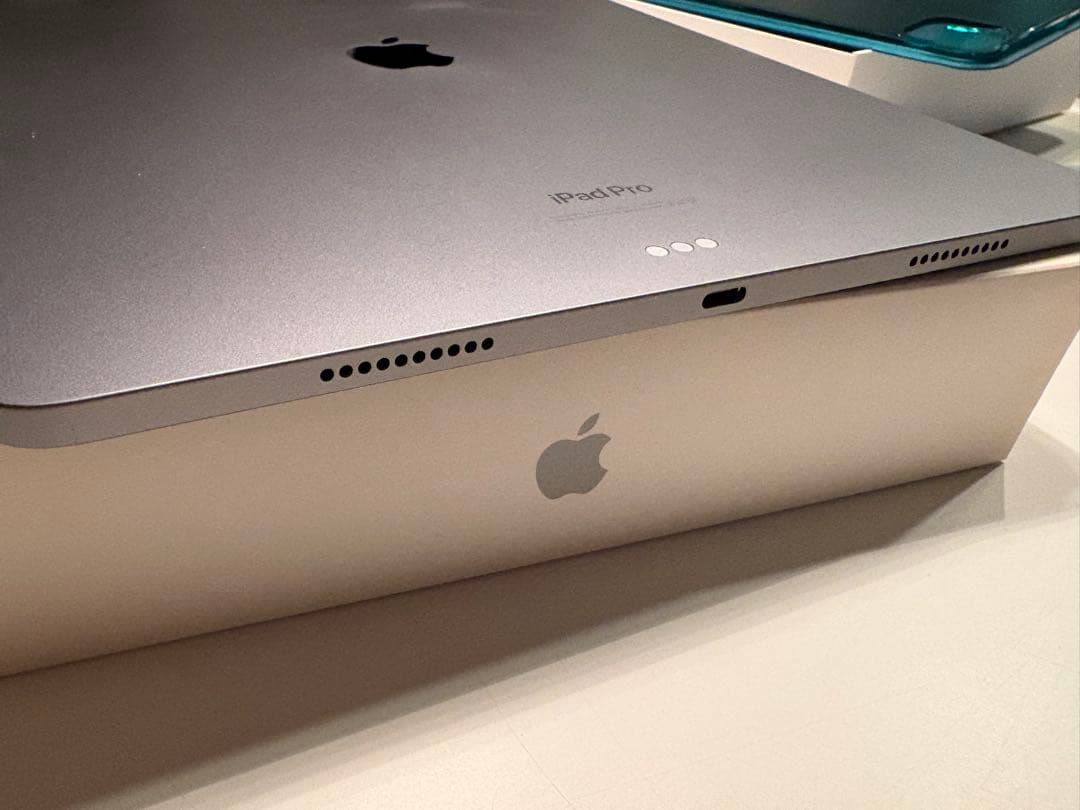 【虎様】iPad Pro 12.9 (第6世代) 256GB