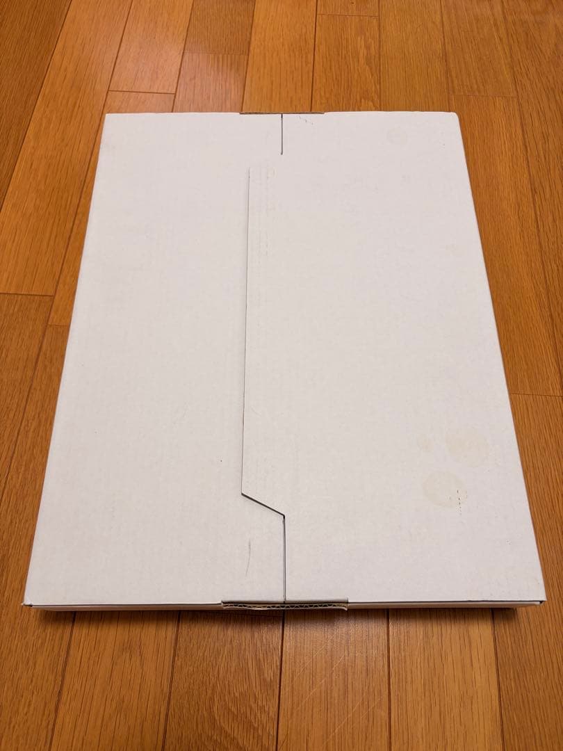 【松井冬子 画集 特装版】240P｜中身美品