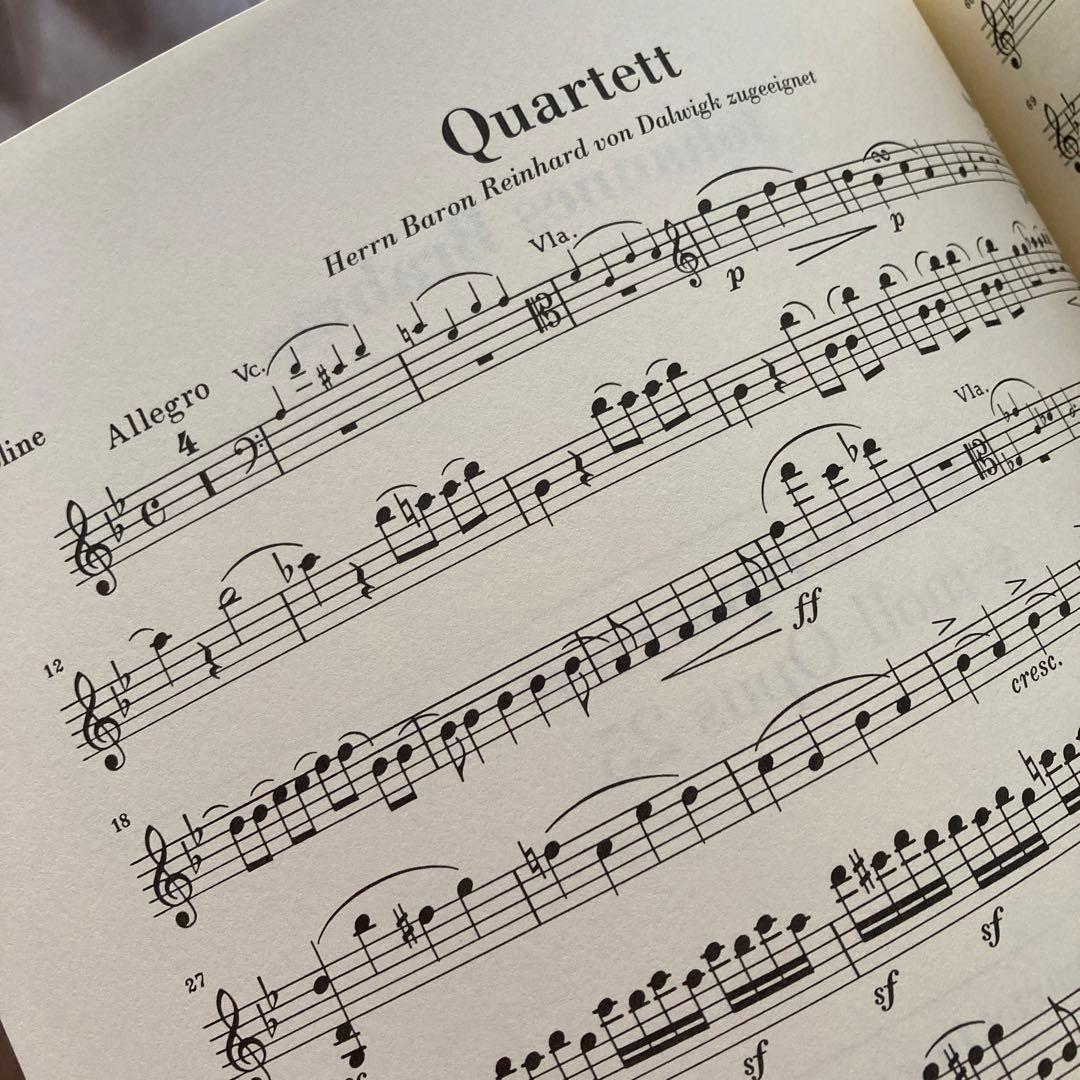 アート・デザイン・音楽 BRAHMS/KLAVIERQUARTETT g m ool Op.25