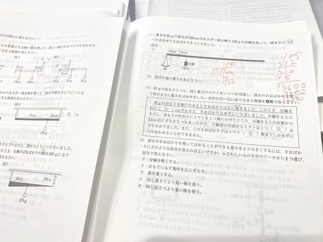 最新版 SAPIX 6年生テスト原本のフルセット2024年度