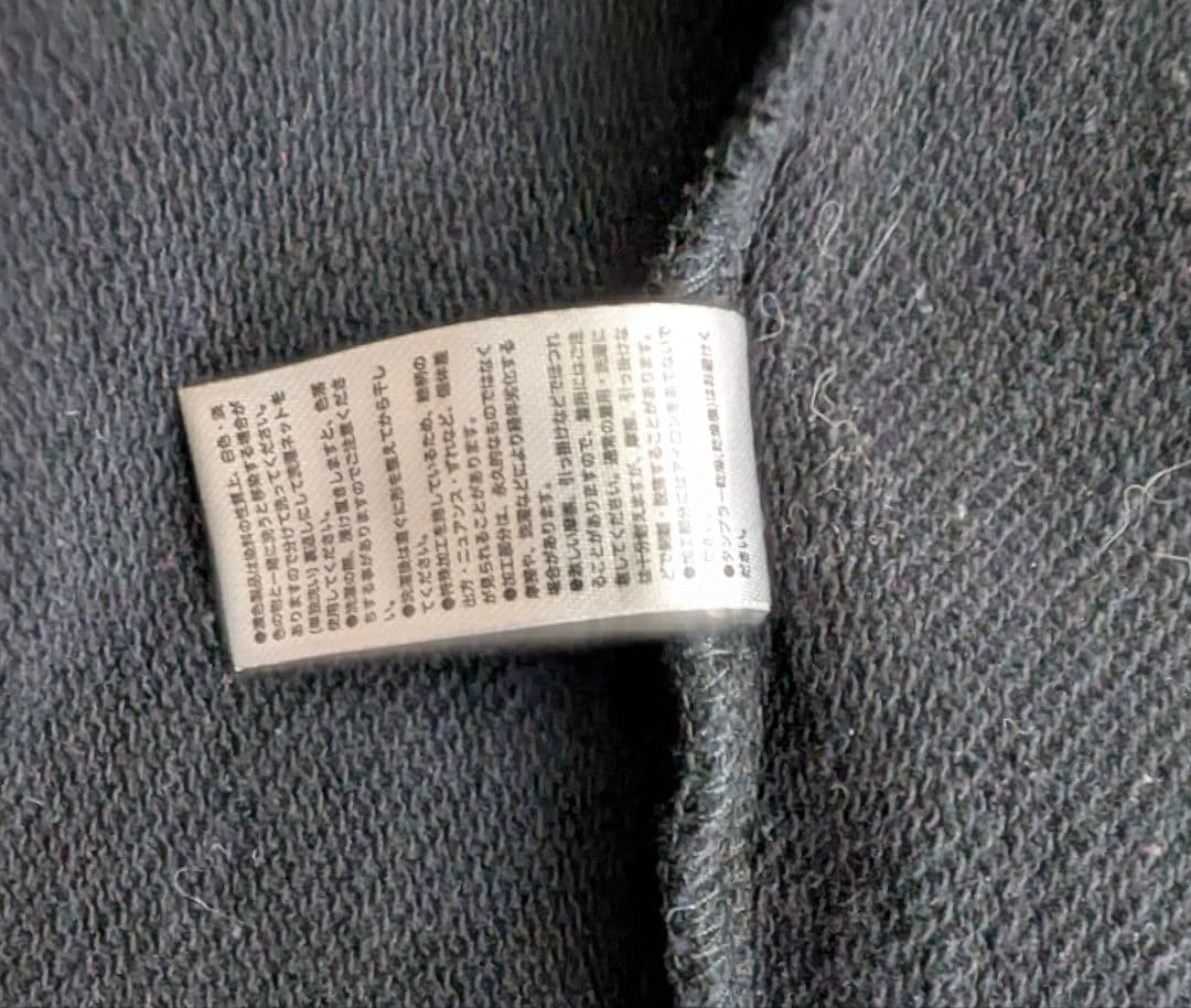 the GazettEガゼット【BIG HOODIEフーディ―M】ロゴパーカー