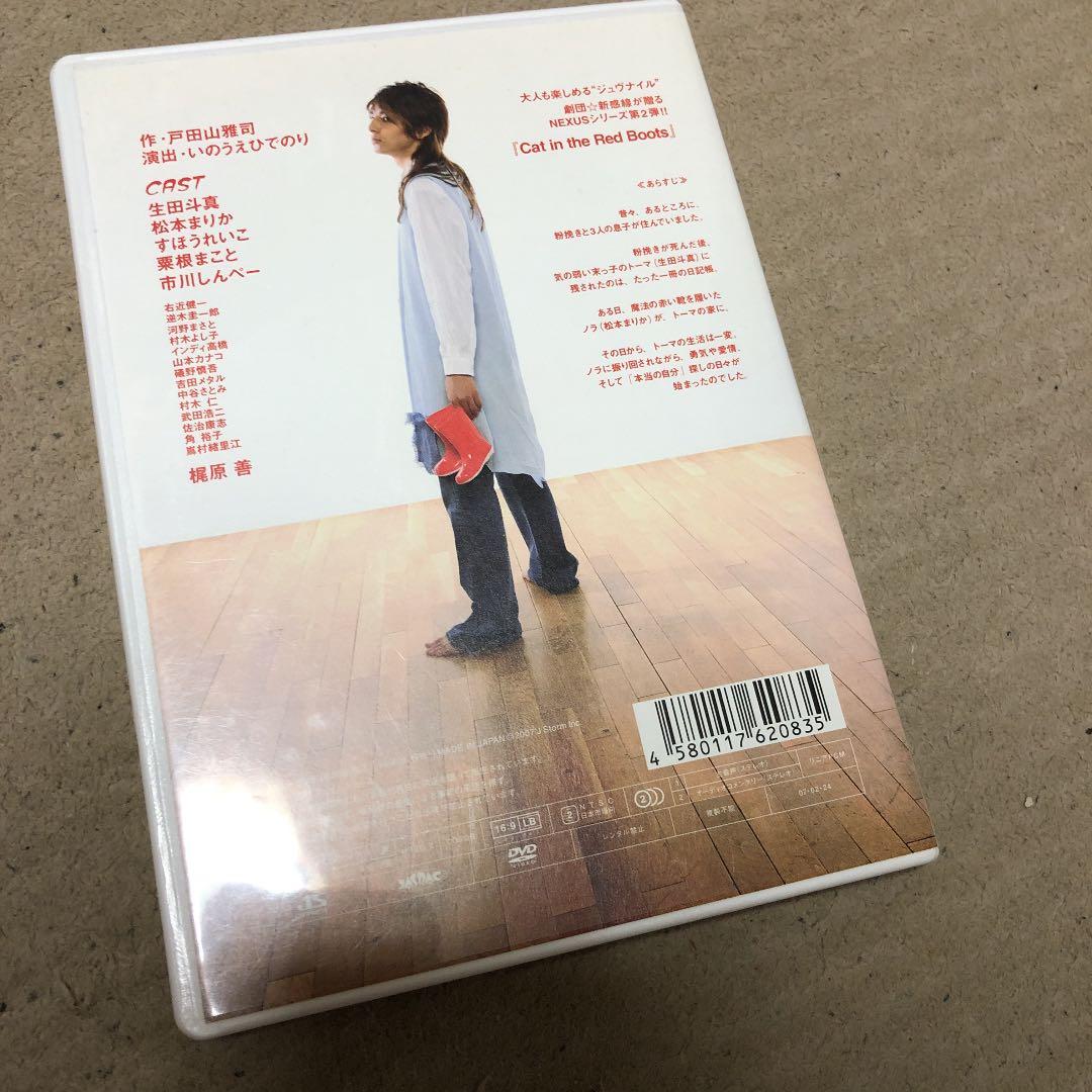 稀少品　生田斗真 松本まりか Cat in the Red Boots DVD