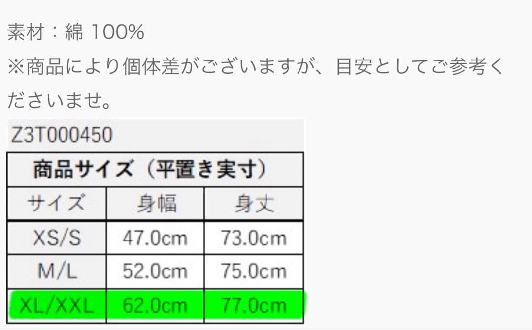 正規品 新品未使用 未開封 ZUMBA Tシャツ タイダイ グリーンXL/XXL