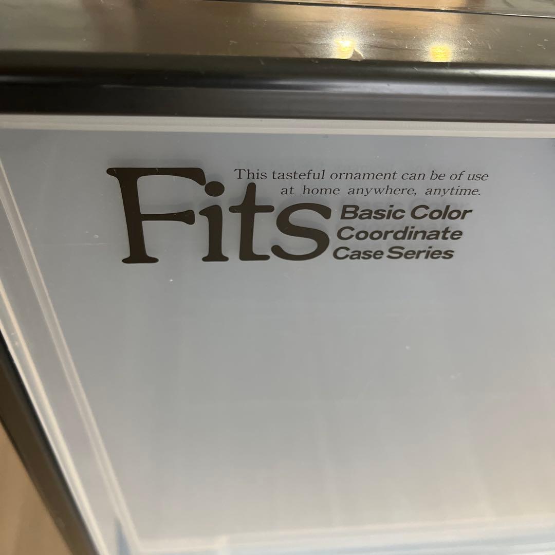 【2個セット】Fits 衣装ケース ロング 大型