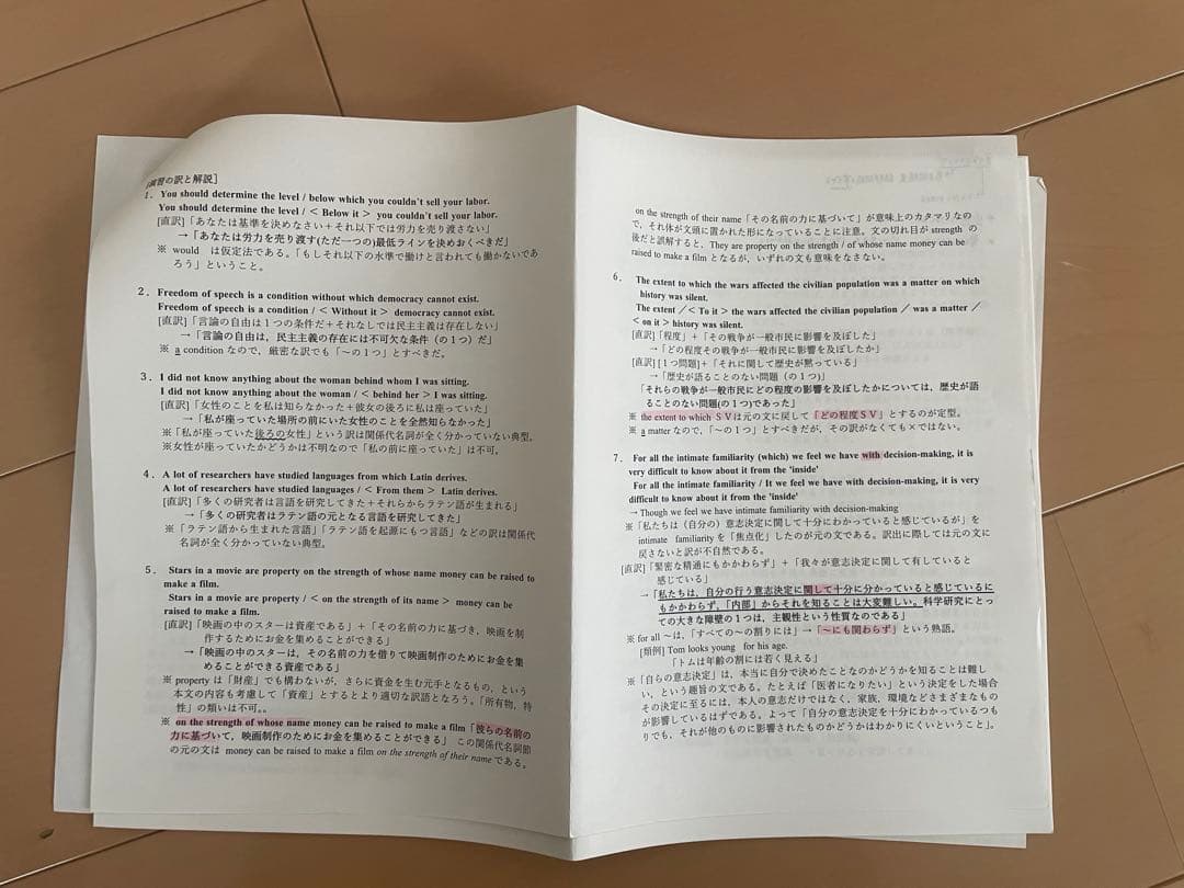 駿台 ex竹岡弘信　前期後期全ex授業プリント　ゲジゲジ