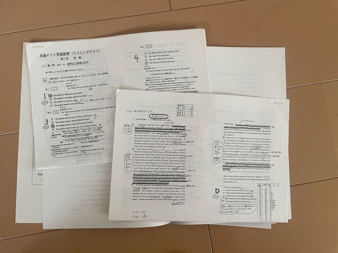 駿台 ex竹岡弘信　前期後期全ex授業プリント　ゲジゲジ