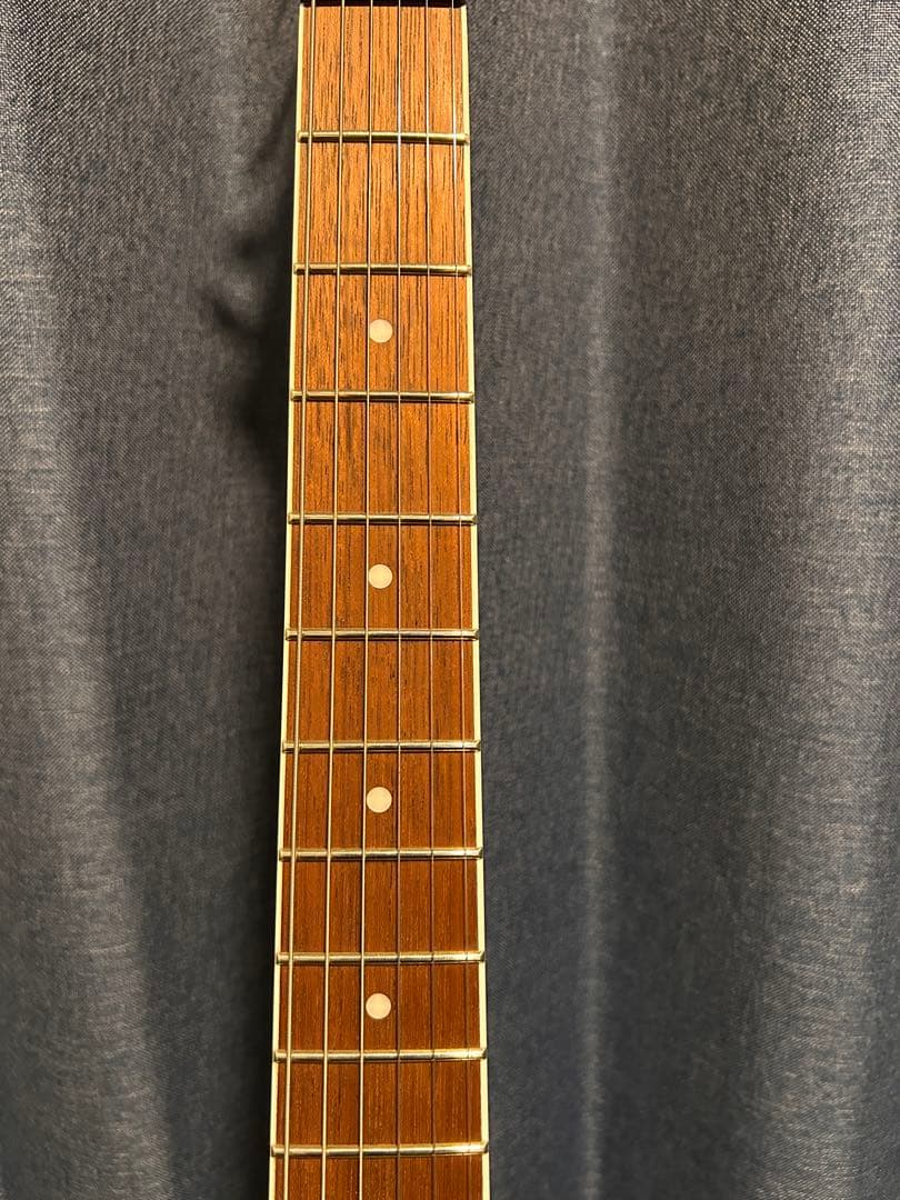 ギター Ibanez / RG421EX Black Flat (BKF)