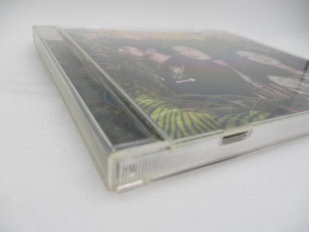 CD DIESEL ANN / ROAD TO BETHEL 帯付き