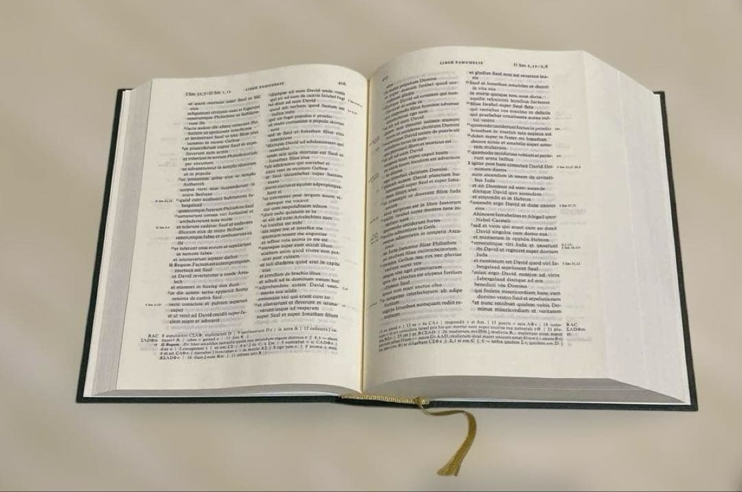 洋書 BIBLIA SACRA VULGATA WEBER-GRYSON