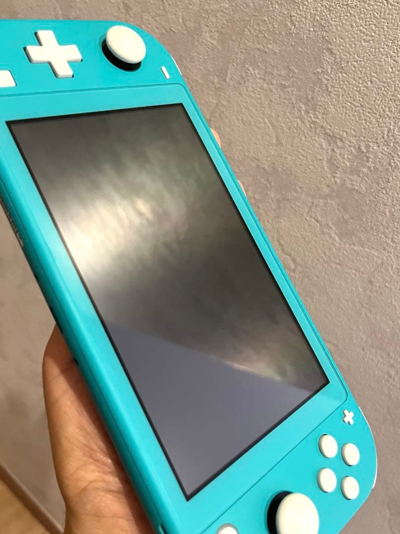Switch Lite / microSDXC128GB / ACアダプタ