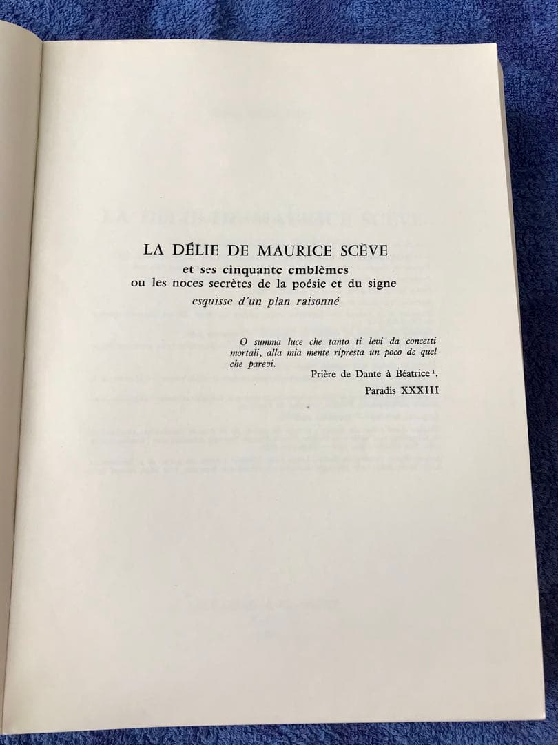 洋書　\"モーリス・セーブのデリー\"(仏語)(メルカリ専用)