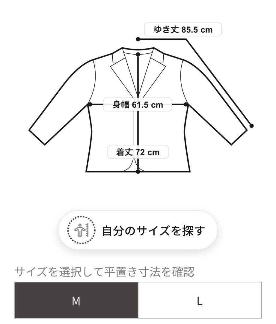 【美品•別注】DESCENTE×TOMORROWLAND ゴアテックスブルゾン