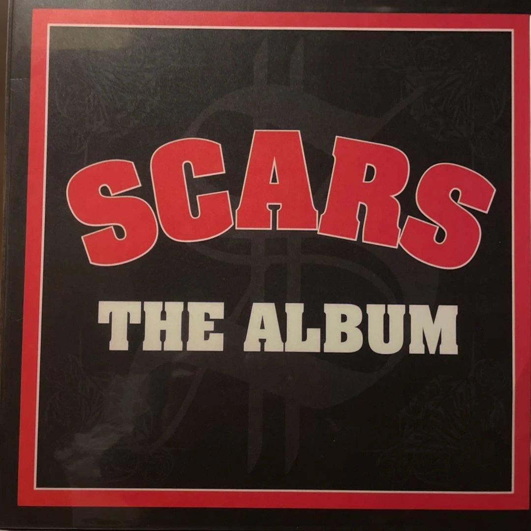 SCARS THE ALBUM NEXT EPISODE LP 2枚セット