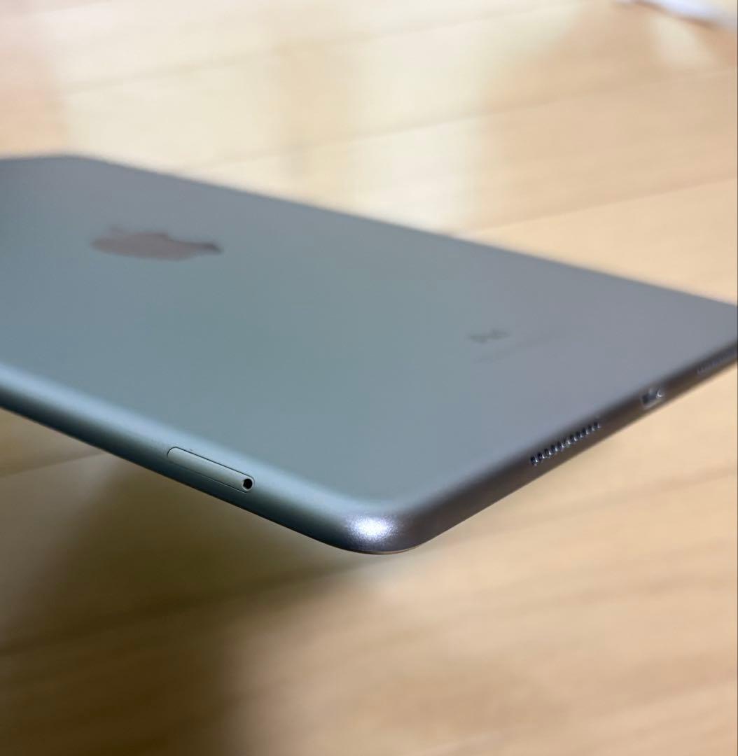 【かなり美品】iPad pro10.5 A1709 64GB セルラー仕様