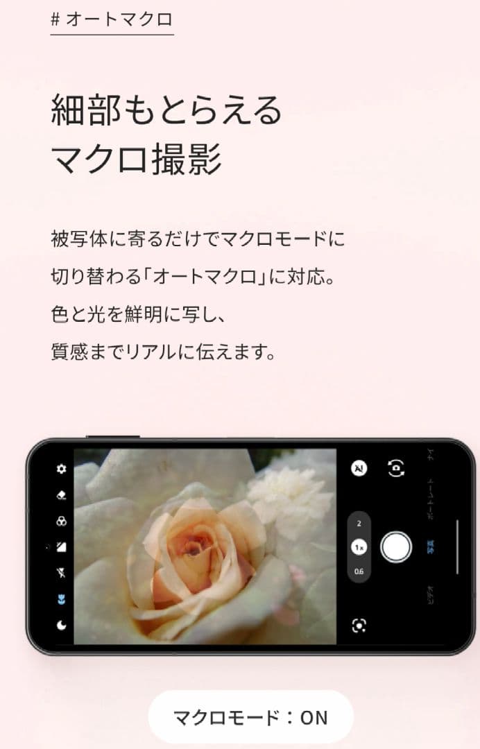 箱付 AQUOS sense10
