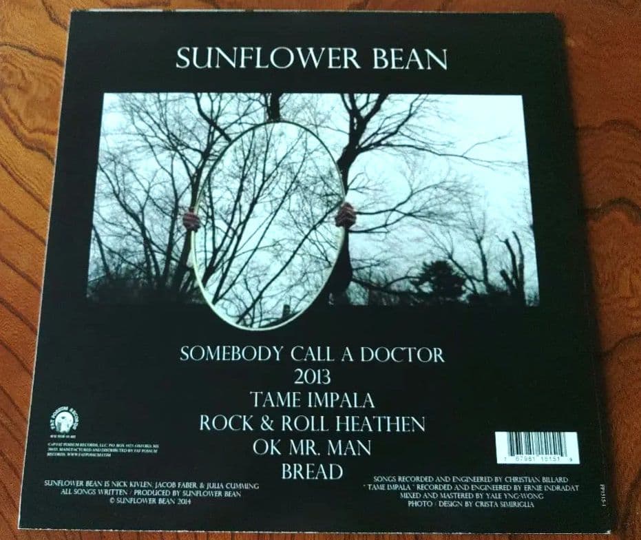 Sunflower Bean サンフラワー・ビーン レコード 2枚