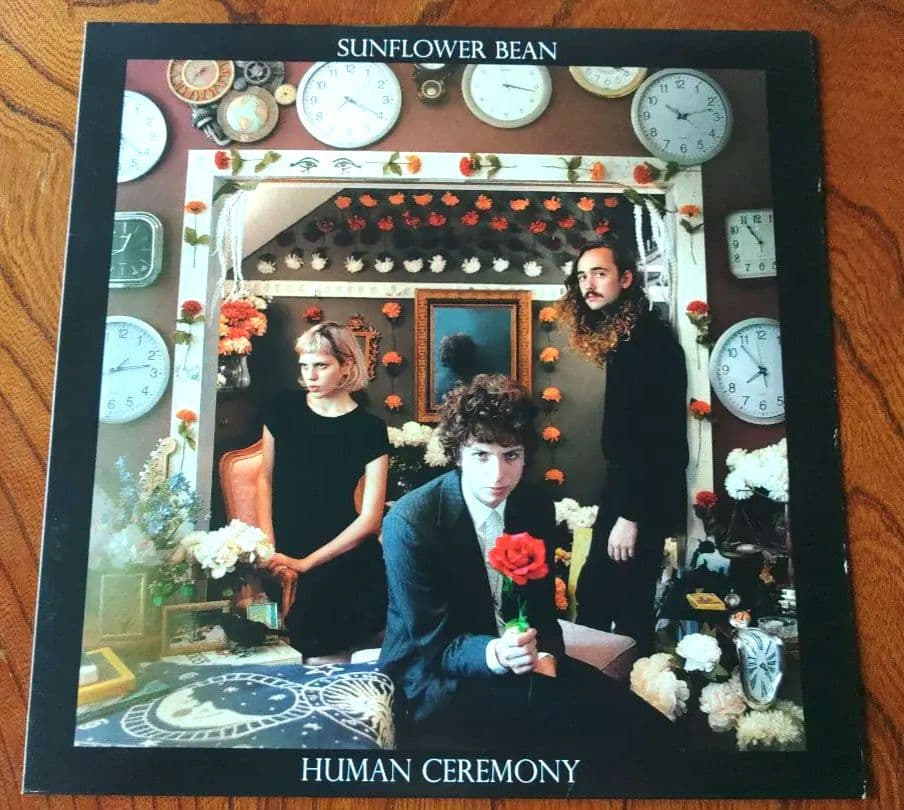 Sunflower Bean サンフラワー・ビーン レコード 2枚