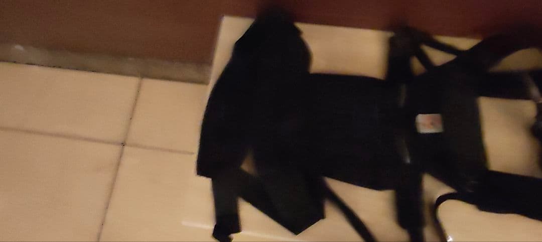エルゴベビー 抱っこ紐 黒